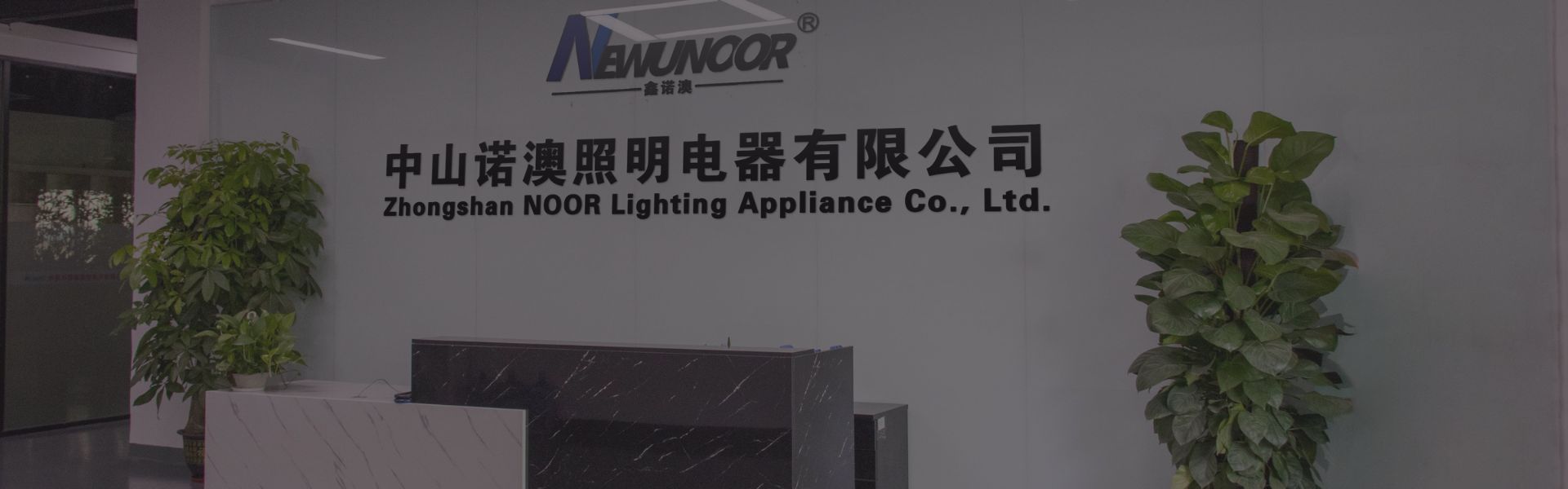 outdoor lighting factory in china