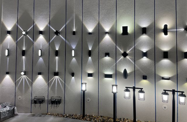 SHOW ROOM (4)